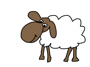 sheep-183057_640